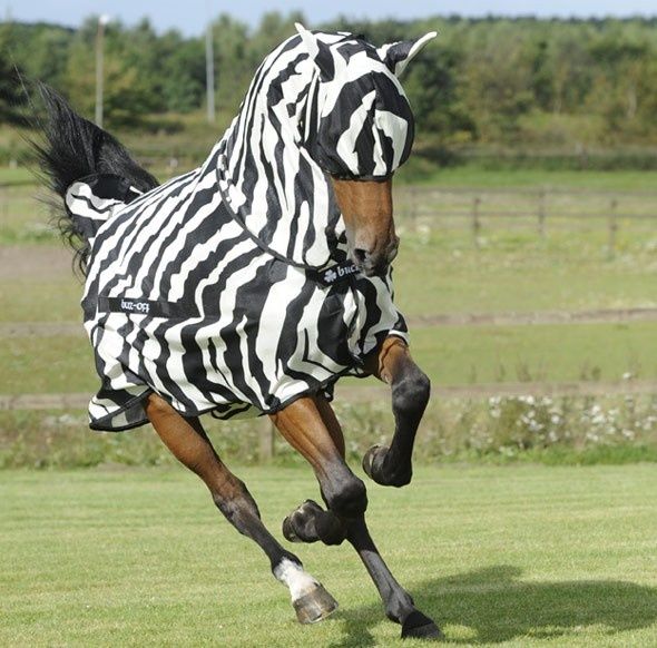 Bucas Buzz-Off Big Neck Full Neck Zebra Bucas Buzz-Off Big Neck Full Neck Zebra