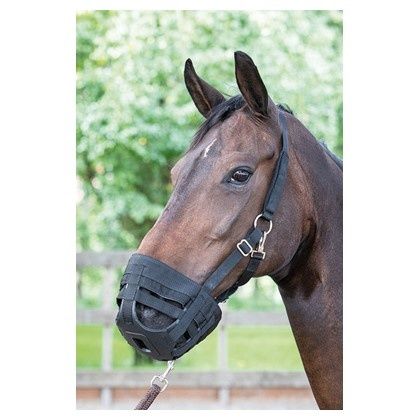 Harry's Horse Grazing muzzle Air