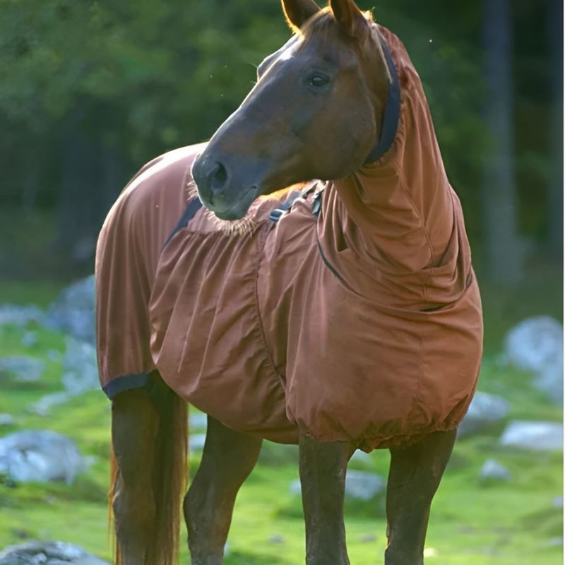 Boett Sweet Itch Blanket Size: 5