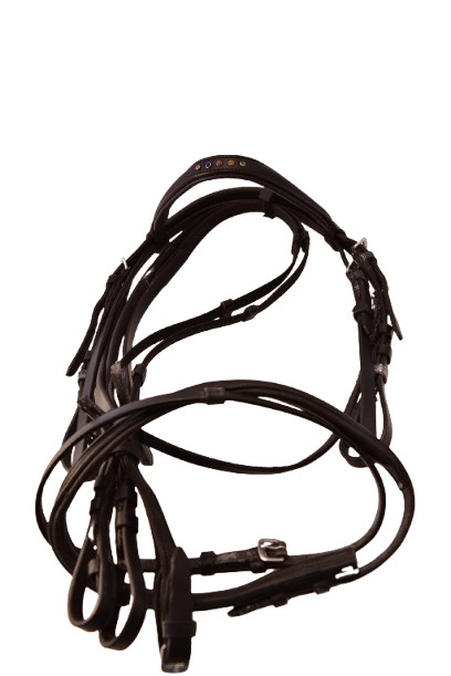 Letty's Design Bridle with decorative stones