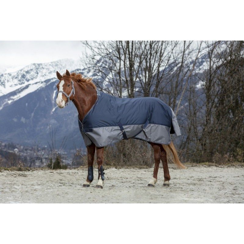 Equithème Outdoorrug Tyrex 600D 300 grams pony