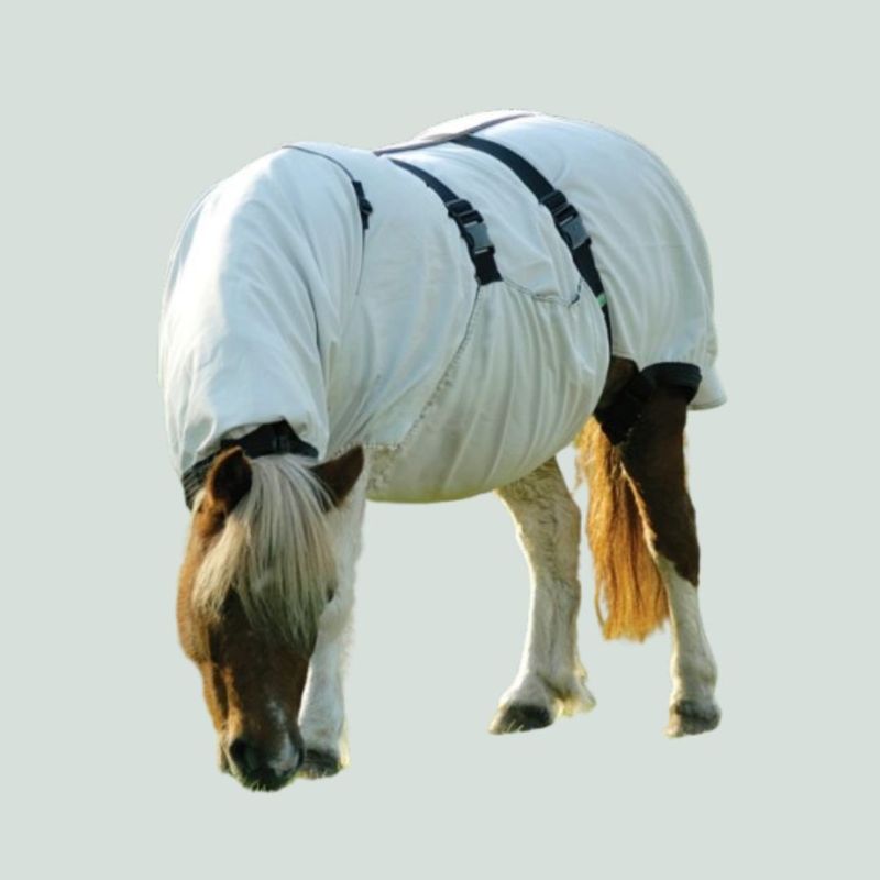 Boett Sweet Itch Blanket Size: 4