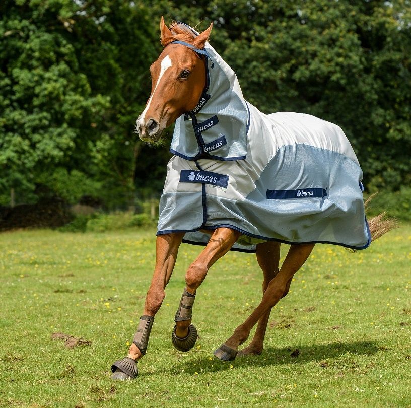 Bucas Buzz Off Rain Fly rug