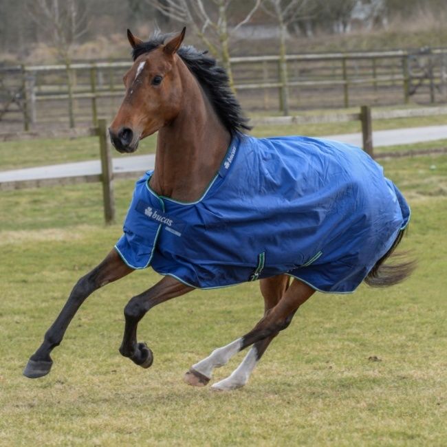Bucas Smartex Turnout Extra Big Neck Bucas Smartex Turnout Extra Big Neck