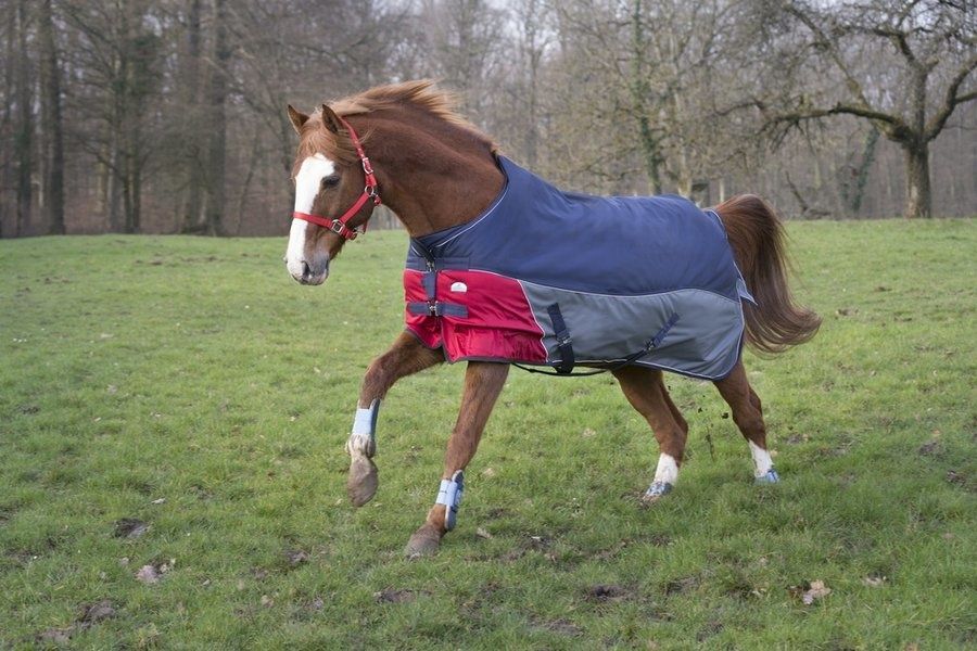 Equithème Tyrex 1200 D Comfort blanket 300 gr.