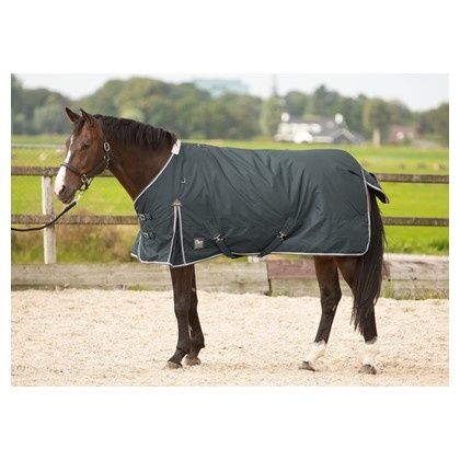Harry's Horse Turnout rug Thor 300 grams