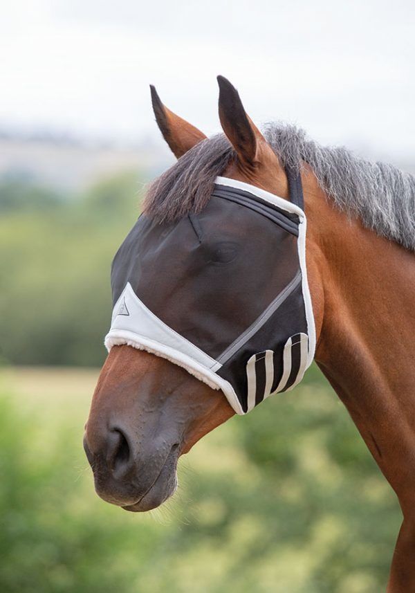 Shires fly mask without ears