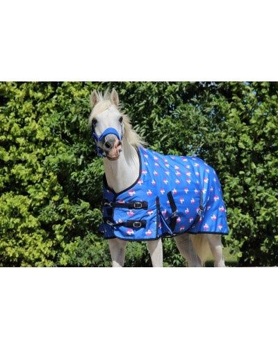 HB Harry and Hector Outdoor Blanket Unicorn 200g