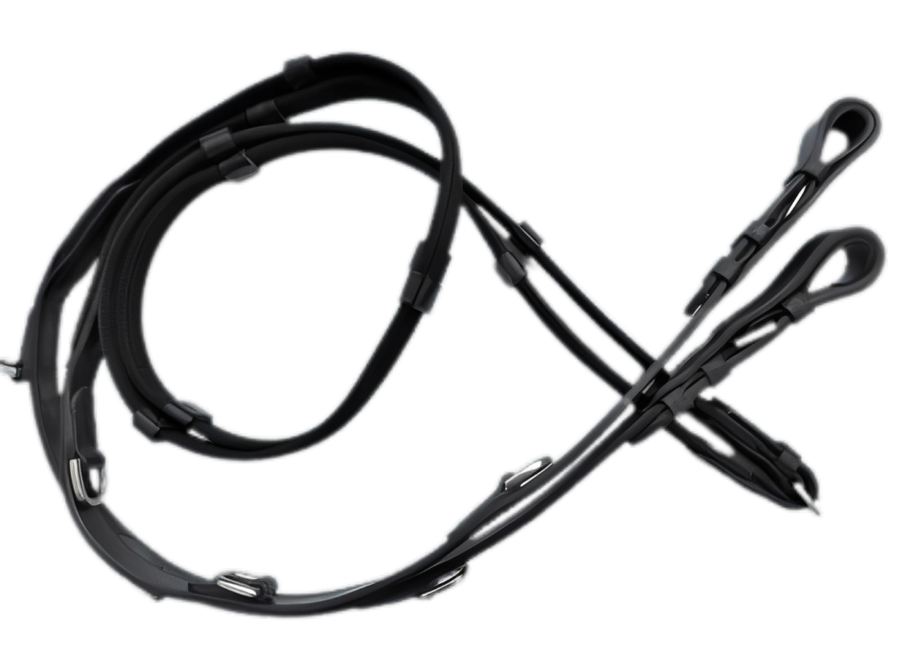 HB Thiedeman Rein Cob