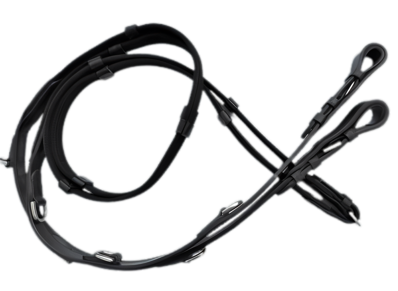  HB Thiedeman Rein Cob