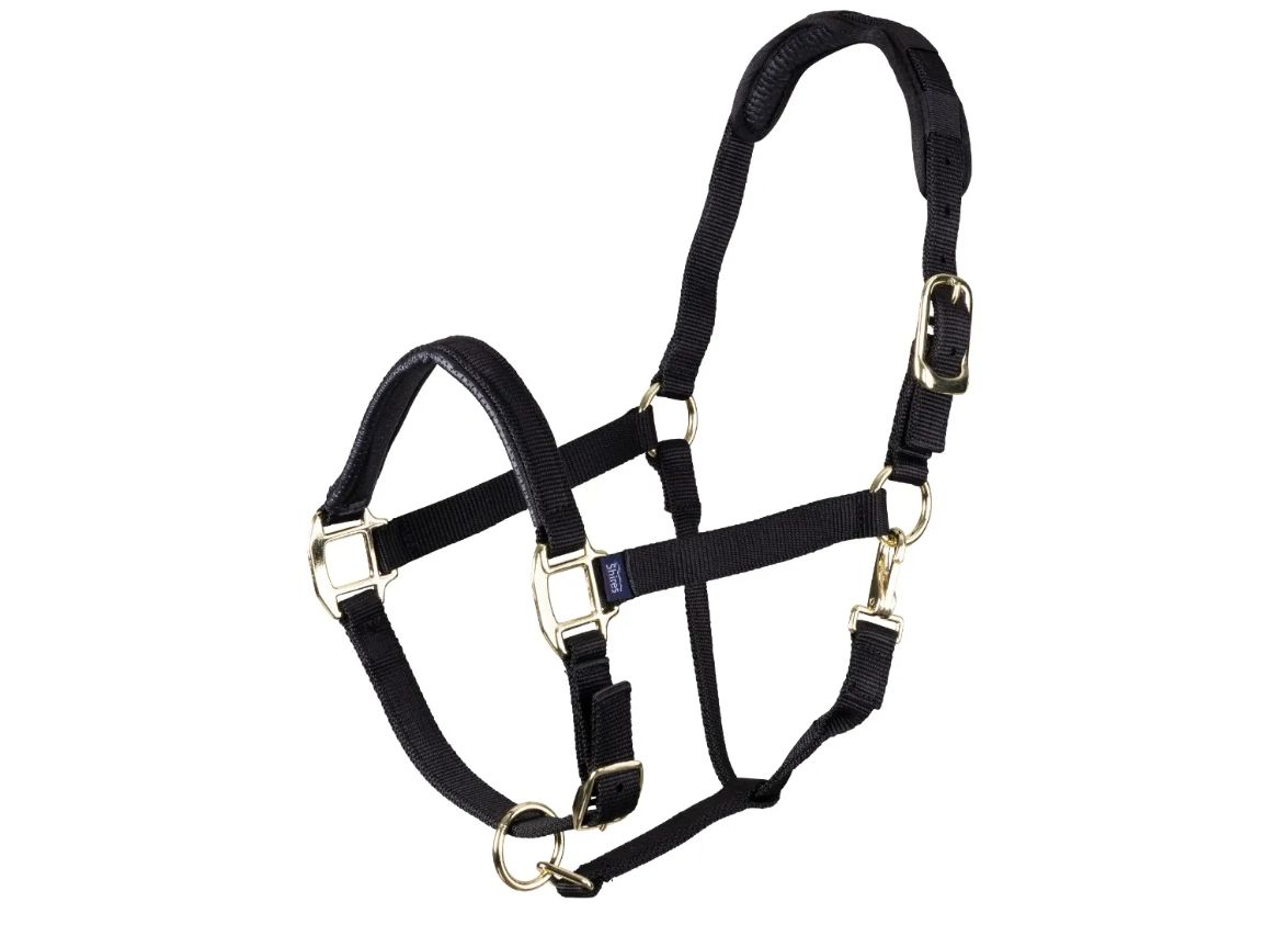 Shires nylon halster topaz