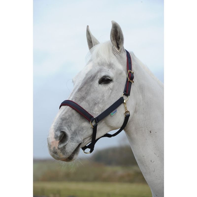 Bucas Halster Dublin  Graphite/Cherry