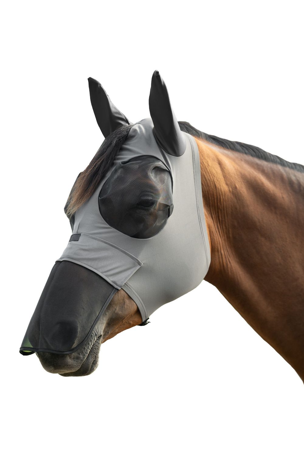 Anti-fly mask Elastic with nose protection