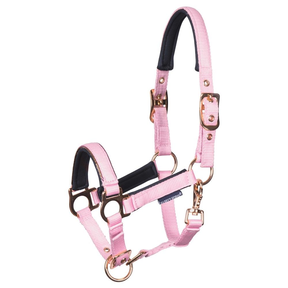 Harry's Horse Foal halter Cornelia