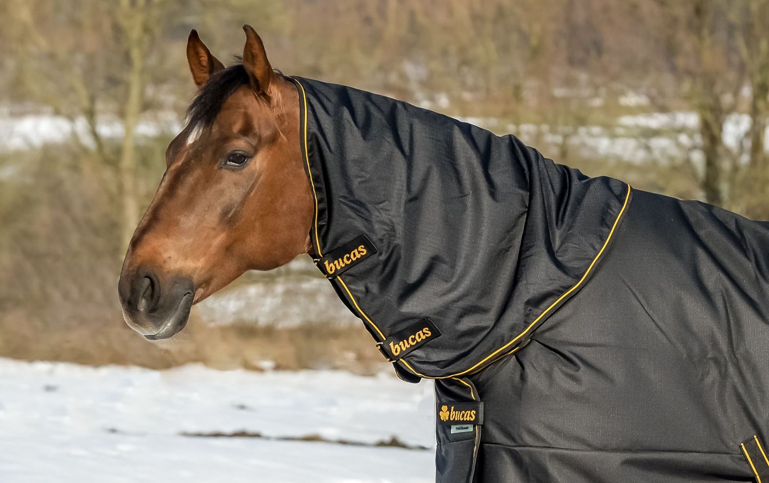 Bucas Irish Combi Neck Black/Gold