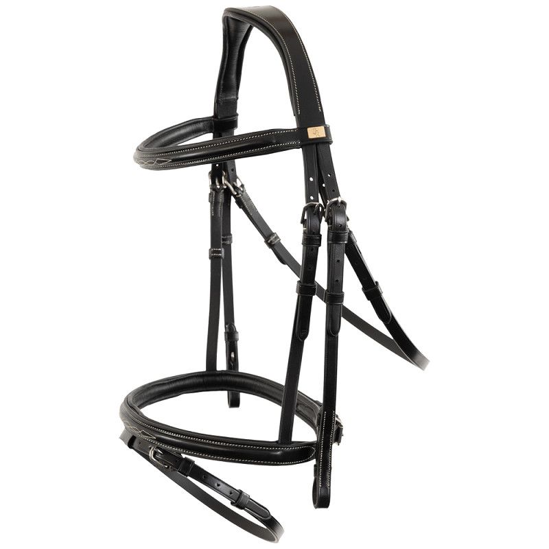 BR Bridle Salcombe
