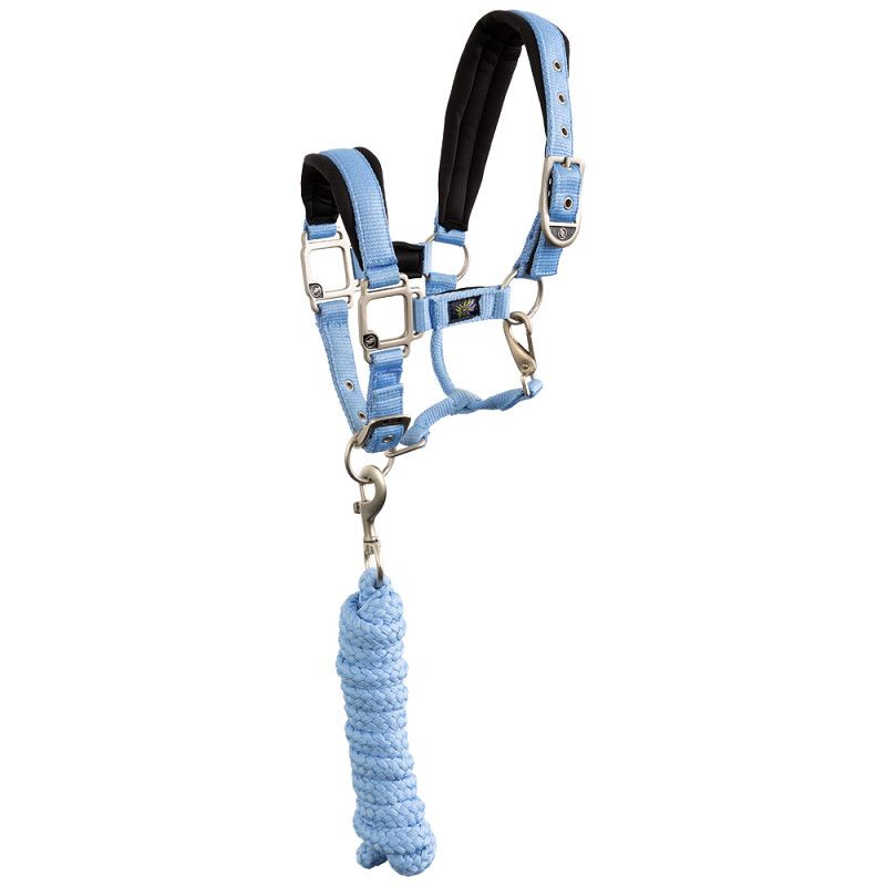 BR Mini Horse Halter with Lead Rope
