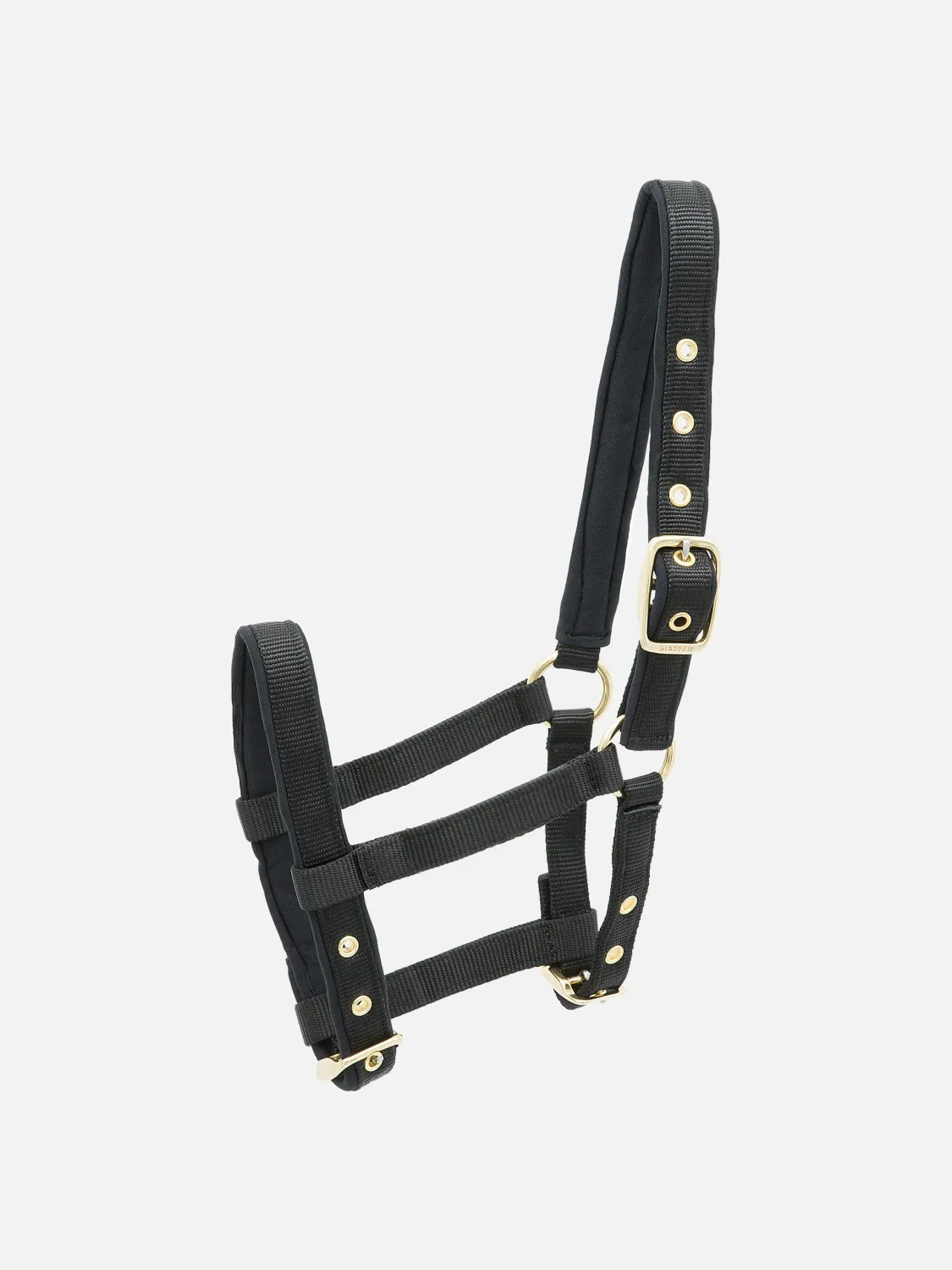 Nylon Foal-Headcollar Collection