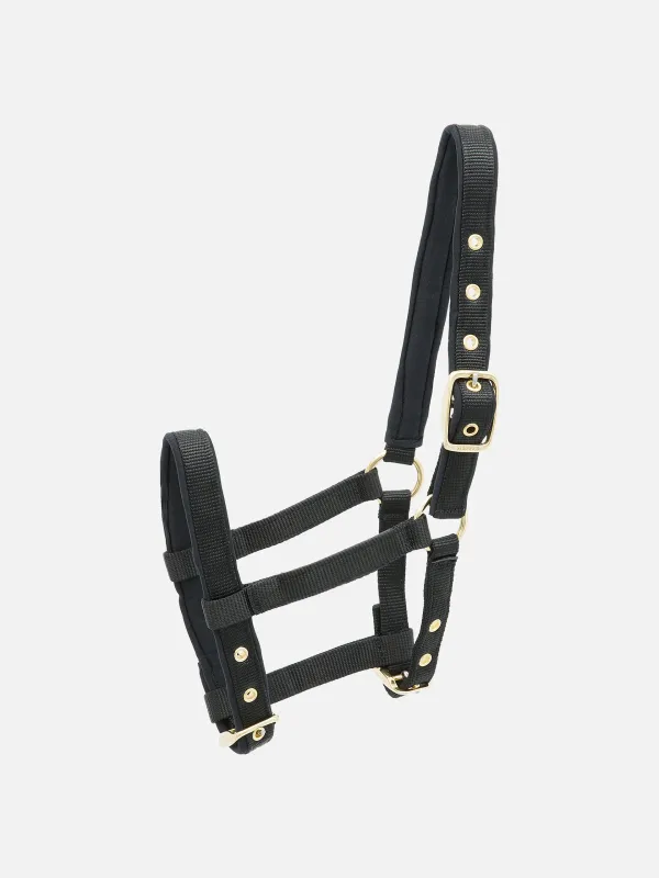 Nylon Foal-Headcollar Collection