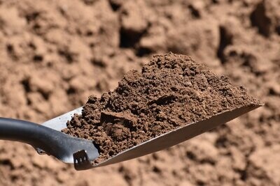 Oakhampton Soil (was $45.00 - May Promotion)