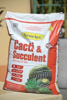 Cacti & Succulent Mix