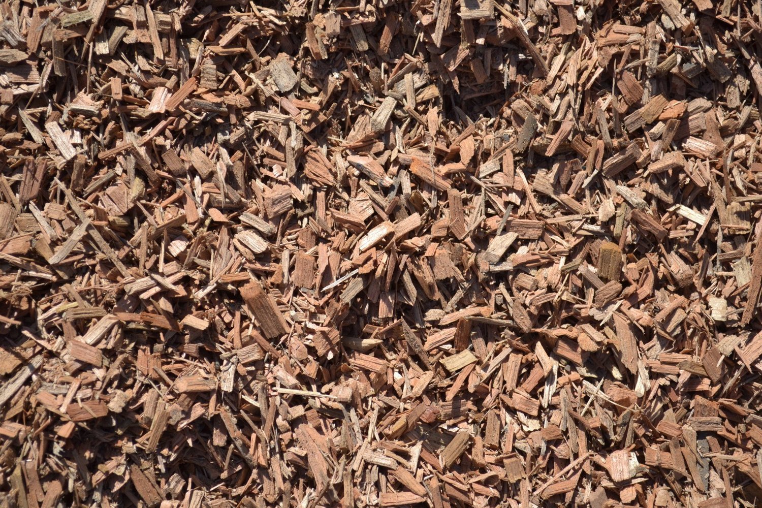 Eucalyptus Mulch