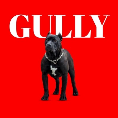 Gully Breed