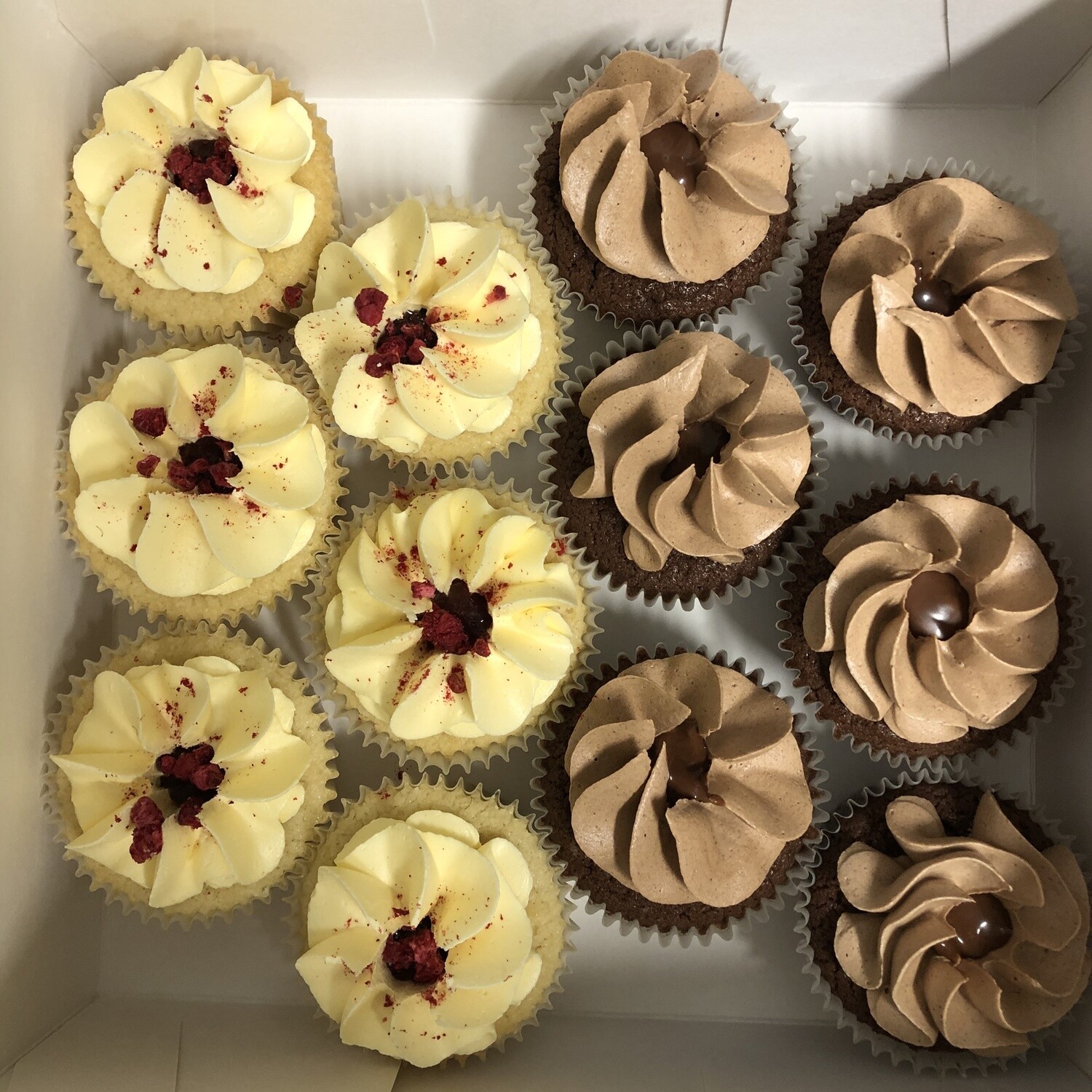 12 X Vegan Cupcakes 12 X Vegan Cupcakes