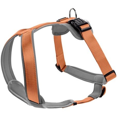 Hunter Y-Geschirr | Neopren gepolstert