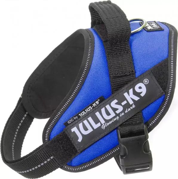 julius K9