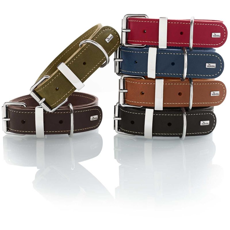Hunter Aalborg Special – Eleganter Lederhalsband in vielen Größen