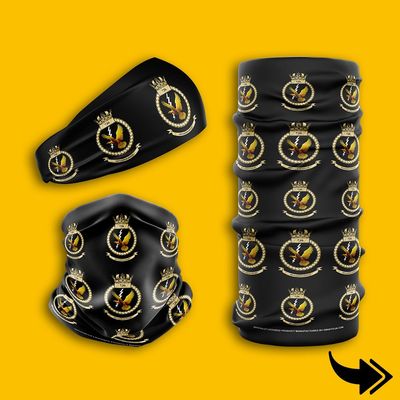 736 Naval Air Squadron