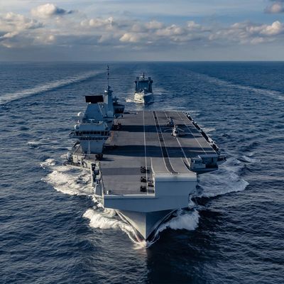 Royal Navy Snoods
