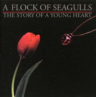 A Flock Of Seagulls – The Story Of A Young Heart