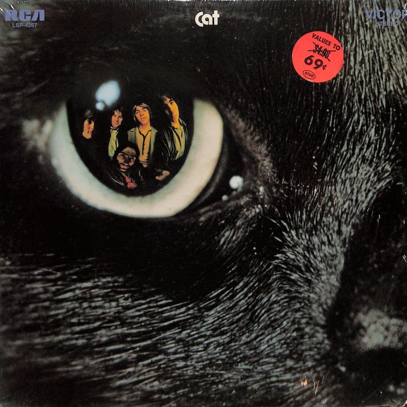 Cat – Cat