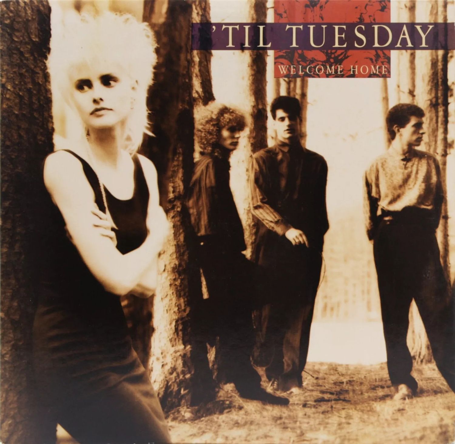&#39;Til Tuesday – Welcome Home