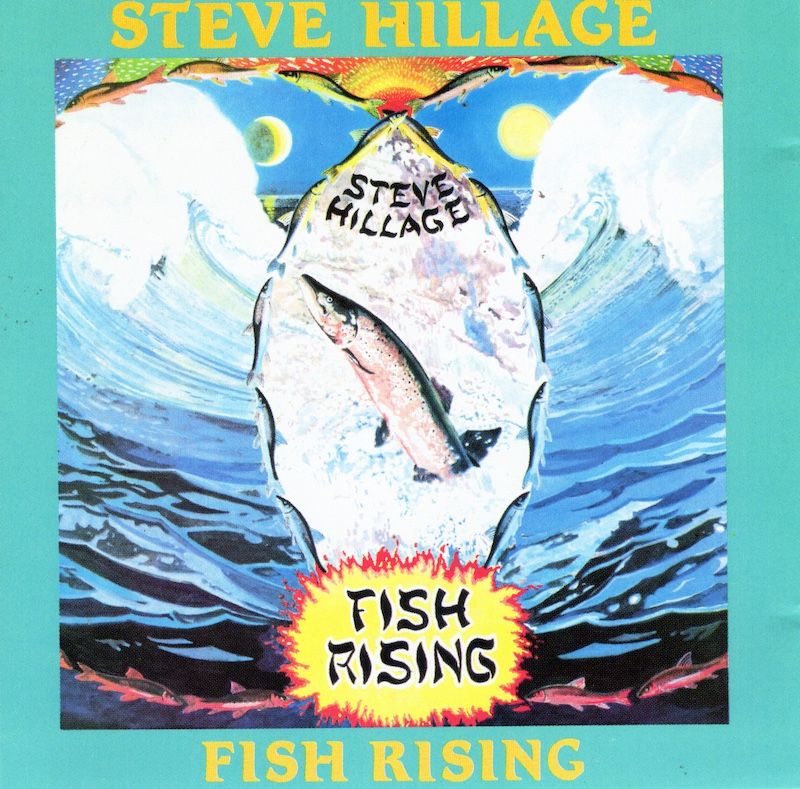Steve Hillage – Fish Rising