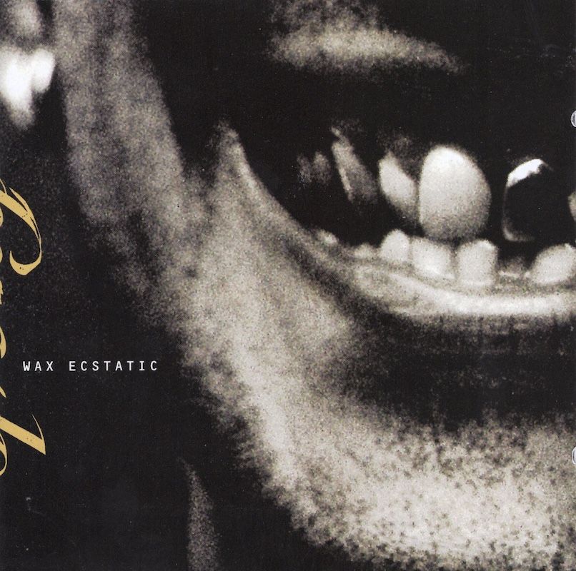 Sponge  – Wax Ecstatic