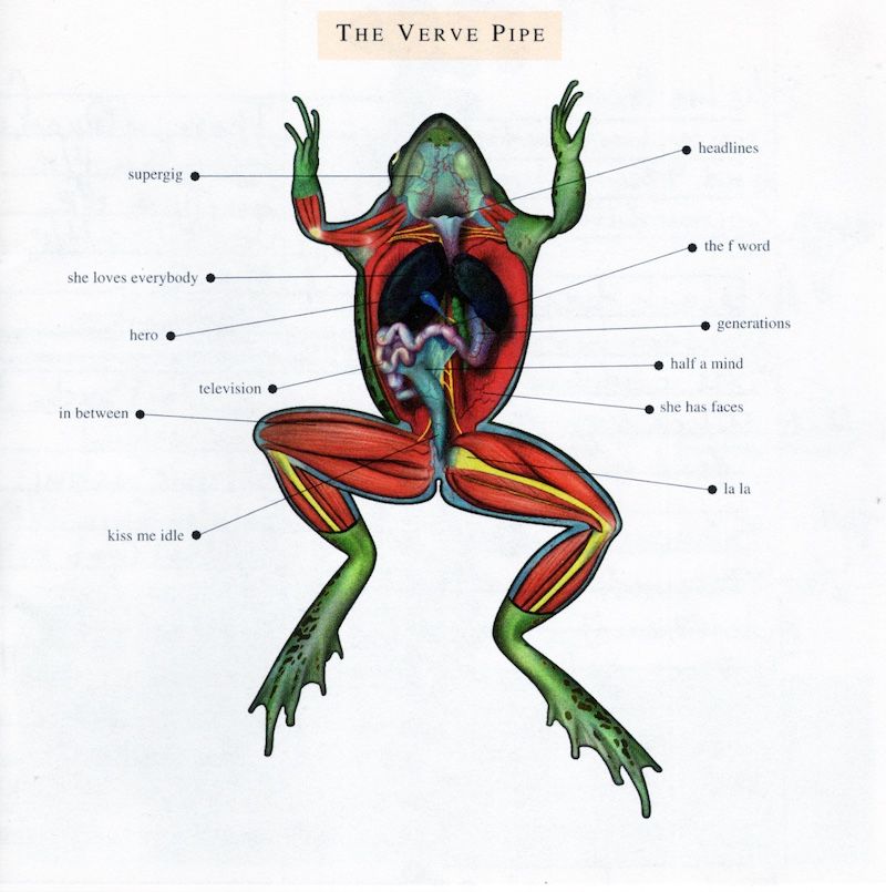 Album cover for The Verve Pipe – The Verve Pipe, available at Left Round Records