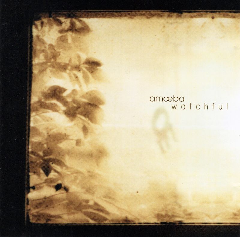Amoeba – Watchful