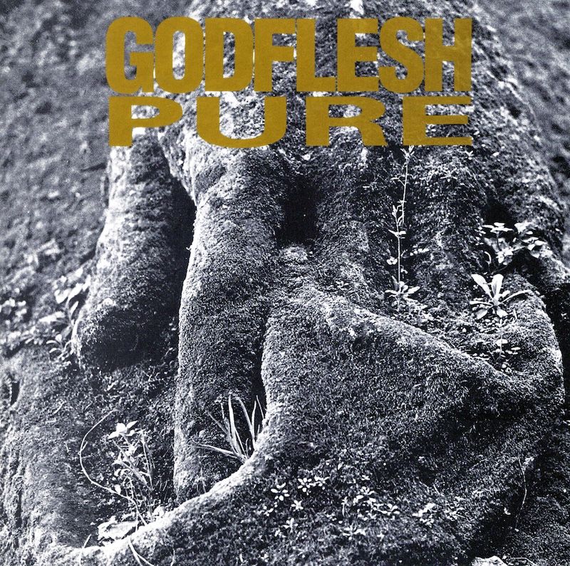 Godflesh – Pure