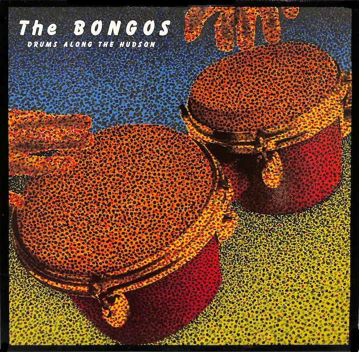 The Bongos ‎– Drums Along The Hudson