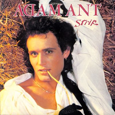 Adam Ant – Strip