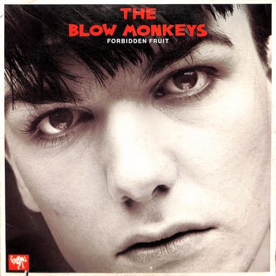 The Blow Monkeys ‎– Forbidden Fruit