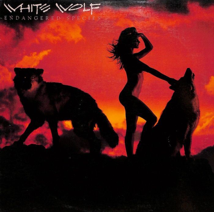 White Wolf – Endangered Species