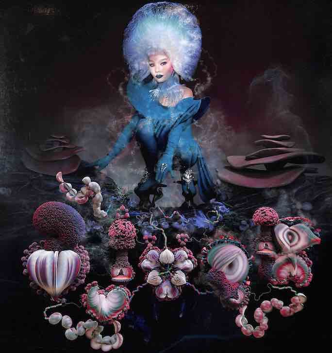 Björk ‎– Fossora