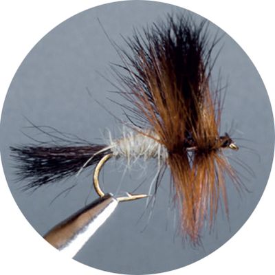 Crown Serie, Wulf, Caddis &amp; Sedge, Brown Wulff