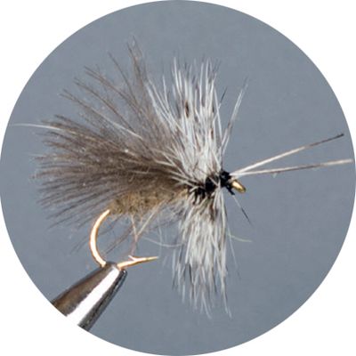 Wulf, Caddis &amp; Sedge, Brown Cdc Sedge Crown