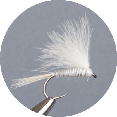 Mosche Crown Serie Cdc Fast Grey