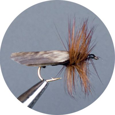 Crown Serie, Wulf, Caddis &amp; Sedge, Kork Green Sedge